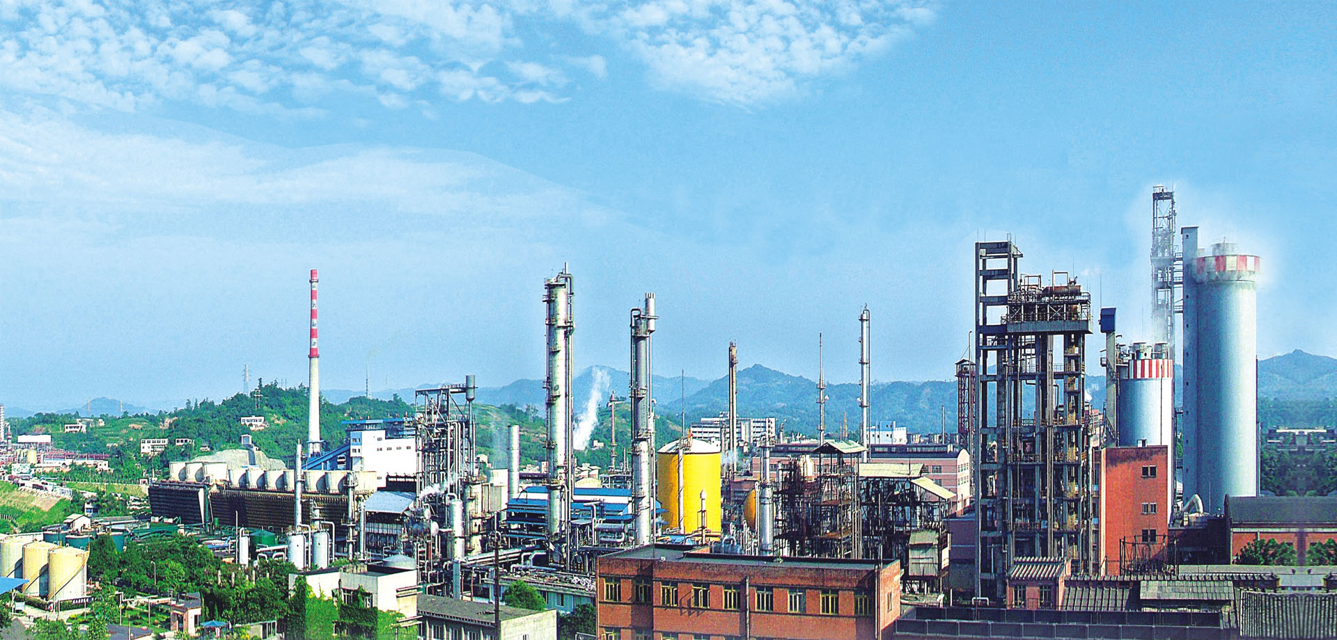 國肥行動(dòng) | 專訪瀘天化九禾馮學(xué)寧 緊跟時(shí)代步伐，勇立創(chuàng)新潮頭